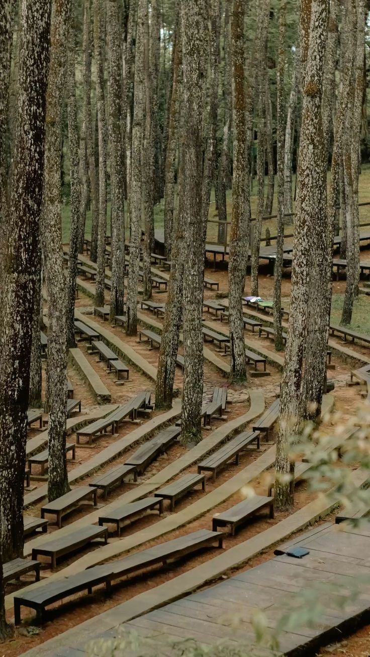 Hutan Pinus Mangunan